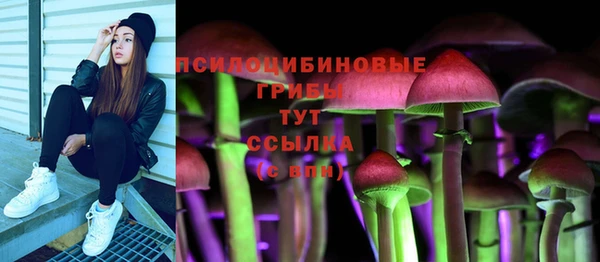 альфа пвп Нязепетровск