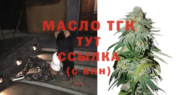стаф Новодвинск