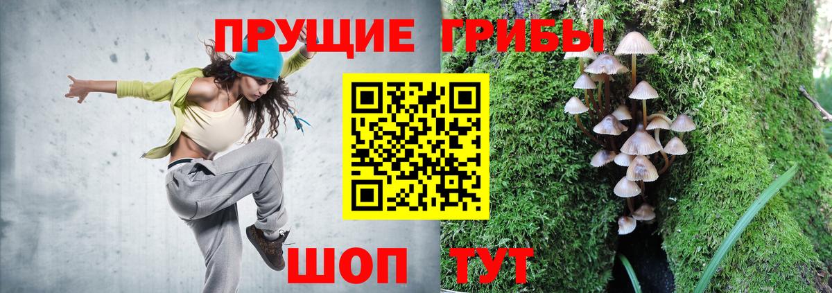 Псилоцибиновые грибы прущие грибы Чусовой