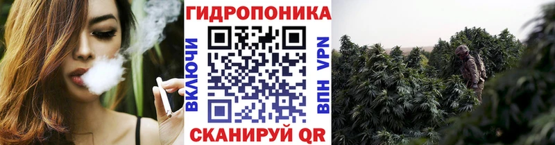 kraken как войти  Чусовой  Марихуана тримм  как найти закладки 